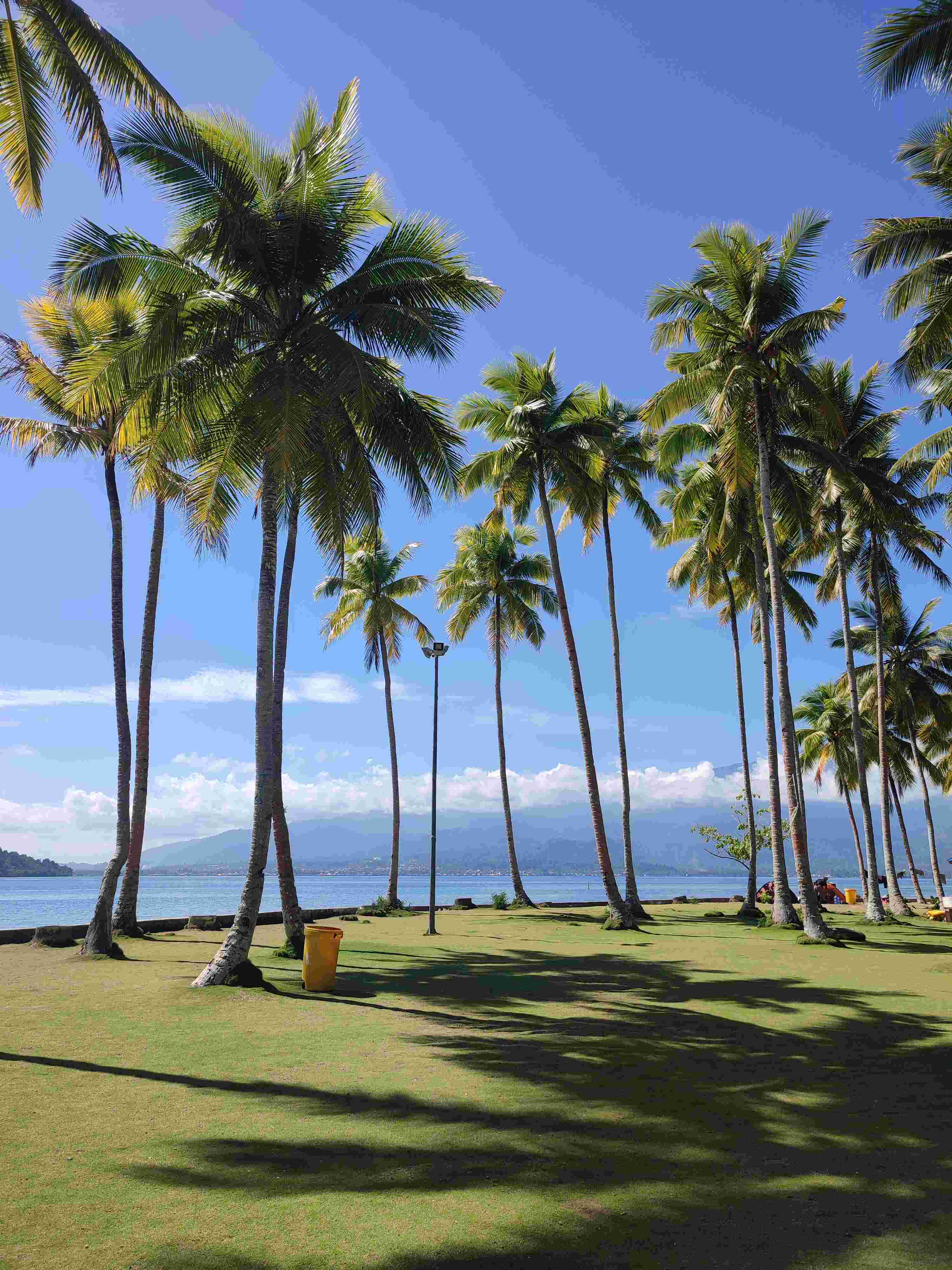 Camping area