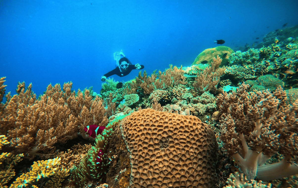 Pantai Umamoi